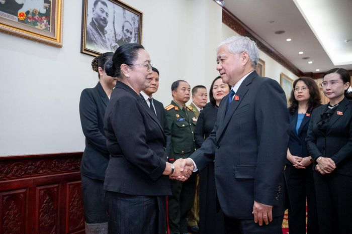 Phó Chủ tịch Thường trực Quốc hội Đỗ Văn Chiến viếng Chủ tịch Quốc hội Lào Saysomphone Phomvihane