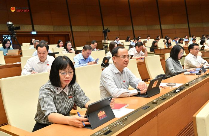 Các đại biểu dự phiên họp