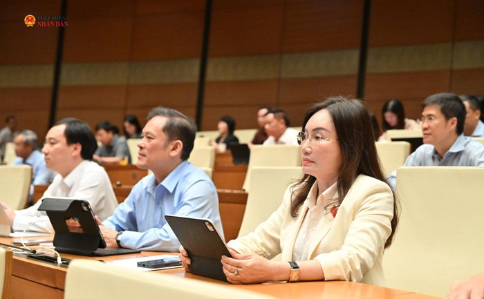 Các đại biểu dự phiên họp