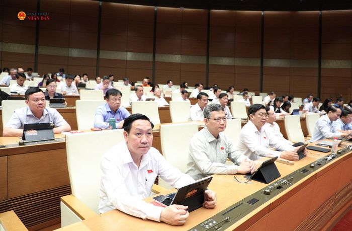 Các đại biểu dự phiên họp