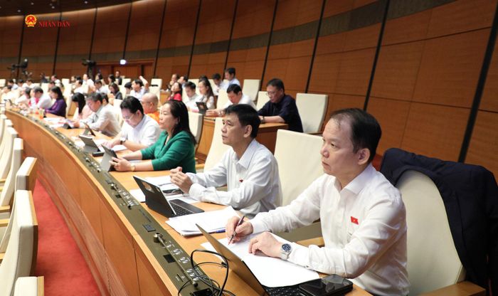 Các đại biểu dự phiên họp