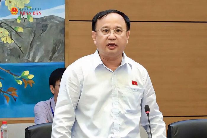 ĐBQH Trần Đức Thuận (Nghệ An) phát biểu. Ảnh: Khánh Duy