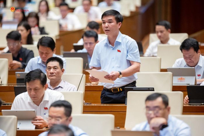 ĐBQH Hà Sỹ Huân (Thái Nguyên) phát biểu. Ảnh: Phạm Thắng