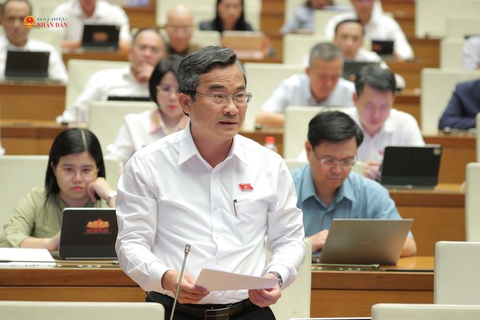 ĐBQH Nguyễn Phi Hùng (TP. Đà Nẵng) phát biểu. Ảnh: Hồ Long