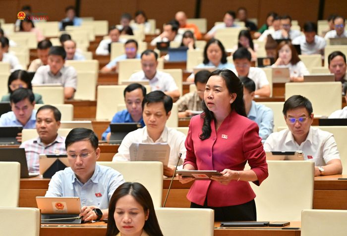 ĐQBH Lý Tiết Hạnh (Gia Lai) phát biểu