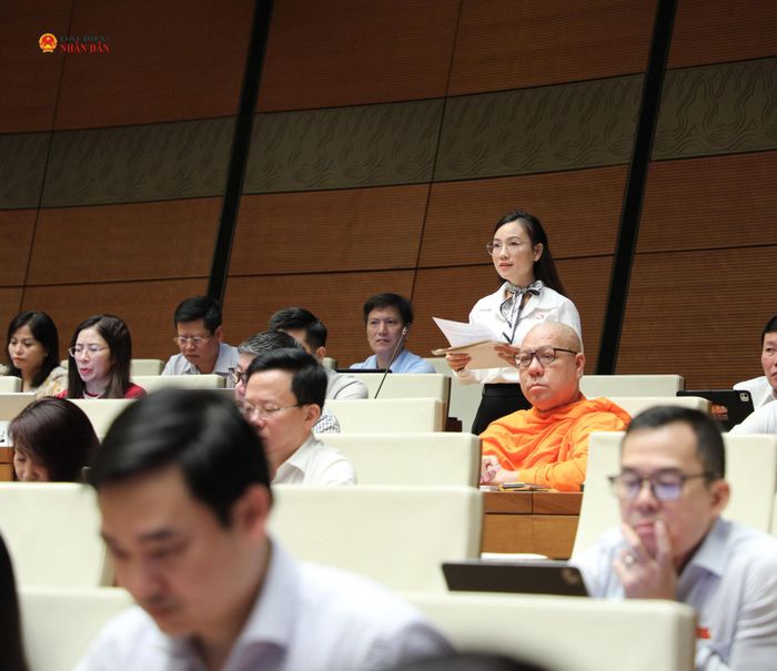 ĐBQH Lưu Thị Thuý Hằng (Phú Thọ) phát biểu