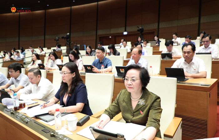 Các đại biểu dự phiên họp