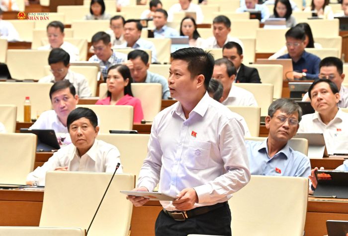 ĐBQH Trương Hồ Hải (An Giang) phát biểu