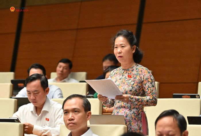 ĐBQH Tô Ái Vang (TP. Cần Thơ) phát biểu