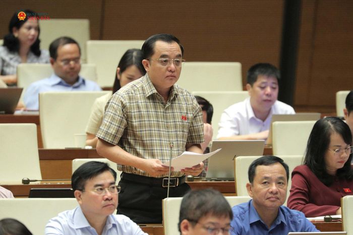 ĐBQH Huỳnh Ngọc Liêm (Lâm Đồng) phát biểu