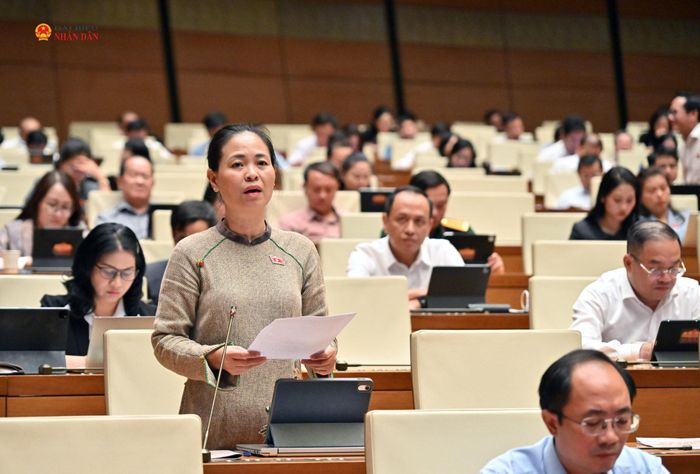 ĐBQH Nguyễn Thị Thu Dung (TP Hà Nội) phát biểu