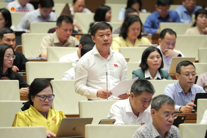 ĐBQH Nguyễn Khánh Vũ (Quảng Trị) phát biểu