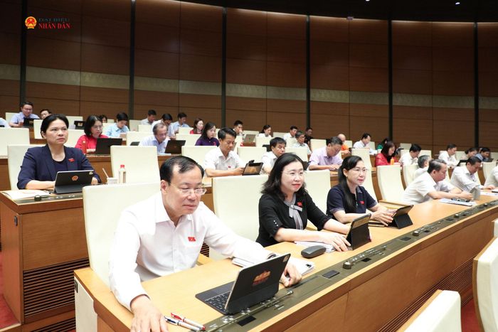Các đại biểu dự phiên họp