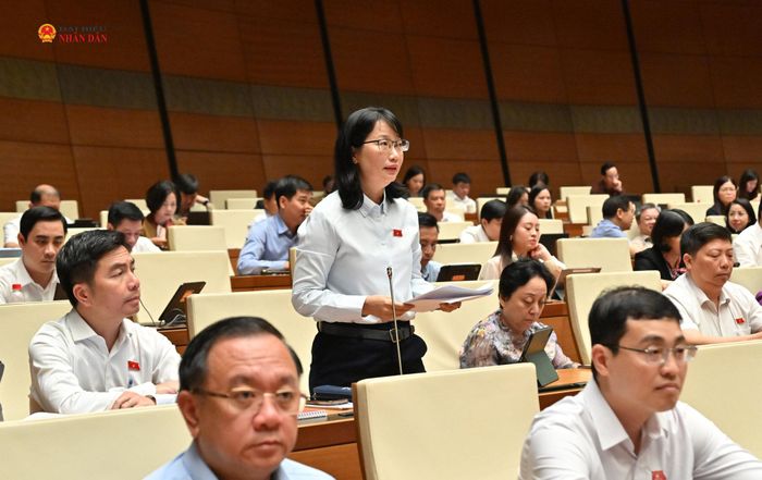 ĐBQH Trần Thị Diệu Thúy (TP. Hồ Chí Minh) phát biểu