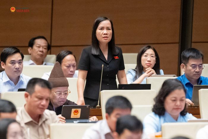 ĐBQH Trương Thị Diệu Thúy (TP. Đồng Nai) phát biểu
