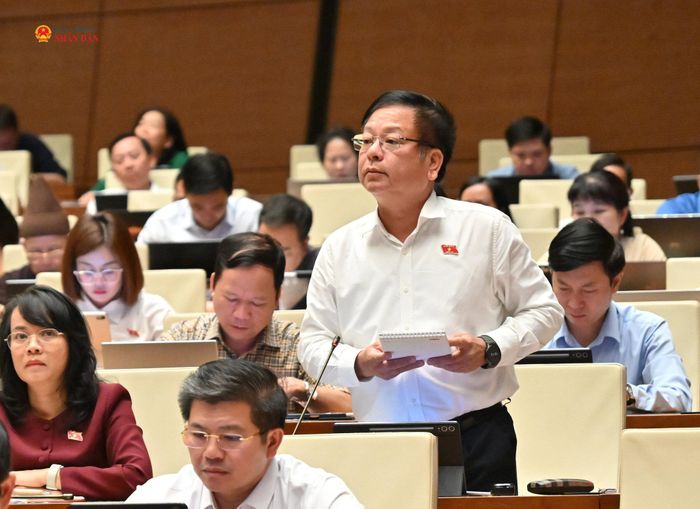 ĐBQH Nguyễn Trường Giang (Lâm Đồng) phát biểu