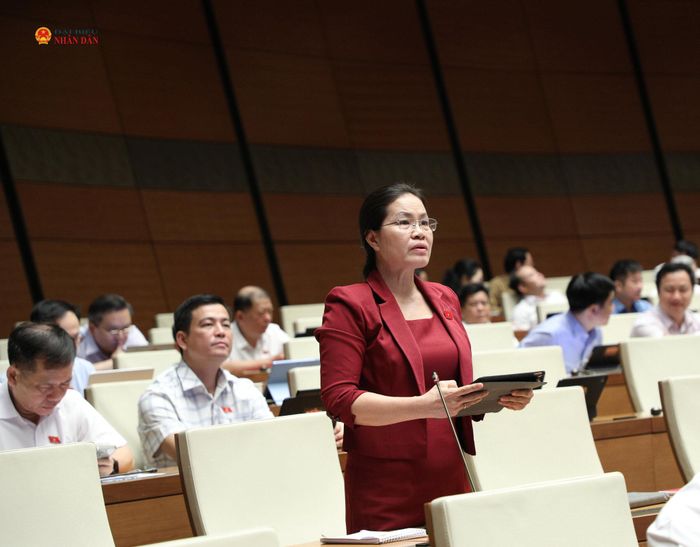ĐBQH Nguyễn Thị Hồng Hạnh (TP. Hồ Chí Minh) phát biểu
