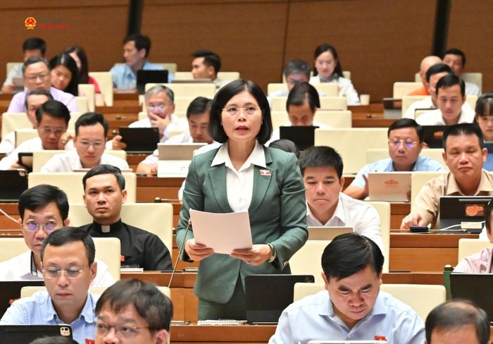 ĐBQH Trần Thị Oanh (Lâm Đồng) phát biểu