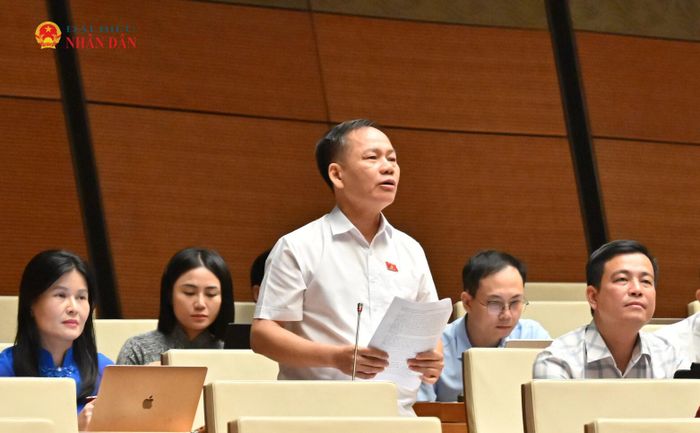 ĐBQH Trần Đình Gia (Hà Tĩnh) phát biểu