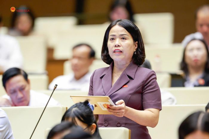 ĐBQH Lý Thị Lan (Tuyên Quang) phát biểu