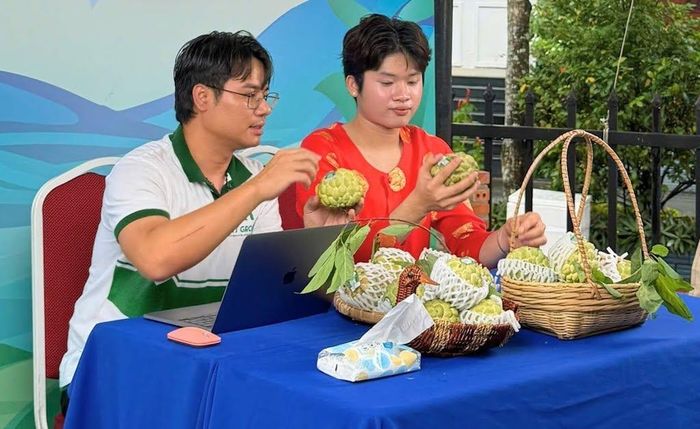 Sản phẩm OCOP của các HTX ở Tây Ninh được chú trọng xây dựng thương hiệu, gắn với tuyên truyền và thực thi Luật Sở hữu trí tuệ sửa đổi để bảo vệ giá trị sản phẩm.