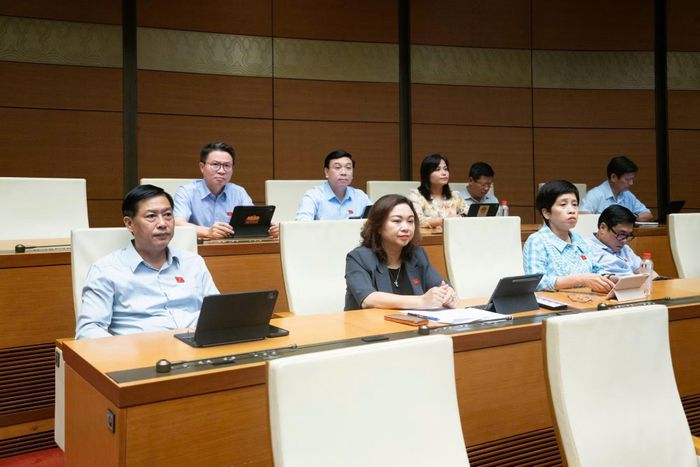 Các đại biểu dự phiên thảo luận.