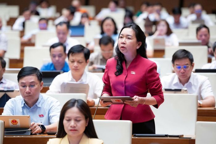 Đại biểu Lý Tiết Hạnh (Đoàn ĐBQH tỉnh Gia Lai) phát biểu thảo luận.