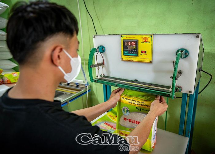 Những túi gạo từ vùng đất lúa - tôm Cà Mau được đóng gói thành phẩm chỉn chu.
