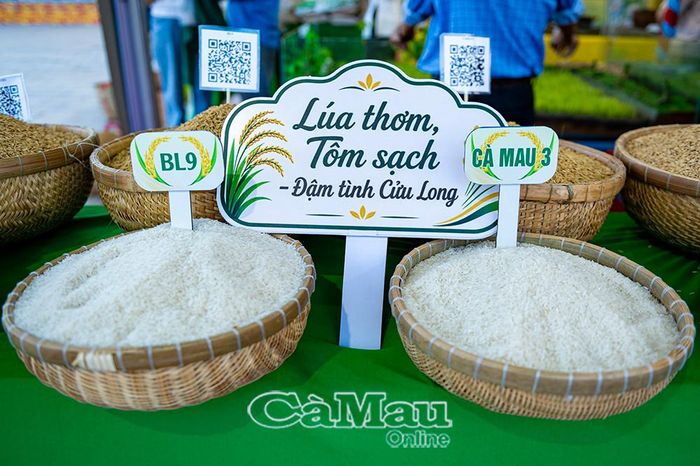 Hạt gạo trắng ngần, giữ trọn dinh dưỡng từ phù sa và khoáng chất tự nhiên.