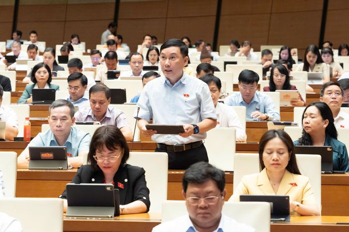 Đại biểu Lê Hoàng Anh phát biểu thảo luận. Ảnh: VPQH