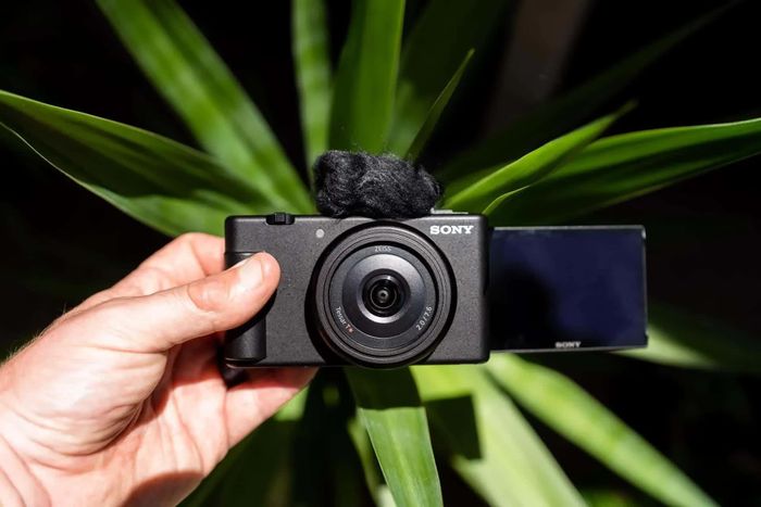 Máy ảnh Sony mạnh về lấy nét và quay video