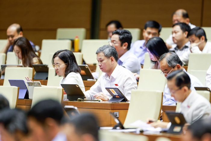 Các ĐBQH TP.Hồ Chí Minh tại phiên họp