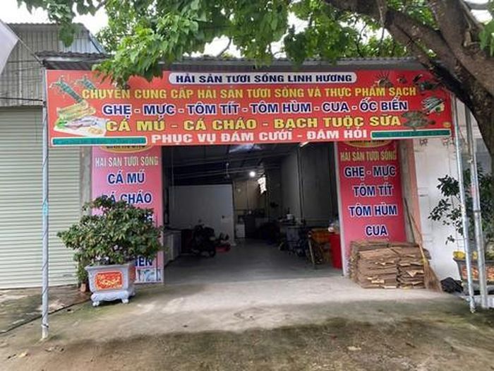 Hương mở cửa hàng kinh doanh hải sản nhằm tạo vỏ bọc để huy động vốn