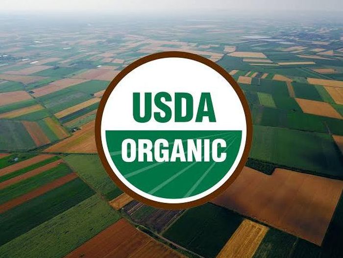 USDA cho rằng thị trường đất nông nghiệp bước vào giai đoạn tăng trưởng chậm hơn nhưng vẫn được hỗ trợ bởi nguồn cung hạn chế và nhu cầu duy trì đất sản xuất