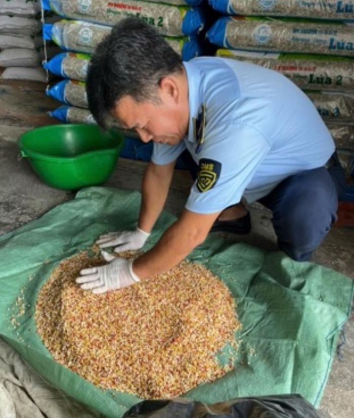  Cán bộ QLTT kiểm tra thực tế lô phân bón tại cơ sở kinh doanh. Ảnh: Chi cục Quản lý thị trường tỉnh An Giang 