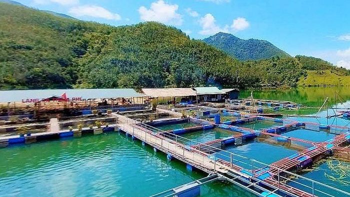  Nhờ sự quan tâm chỉ đạo sát sao của cấp ủy, chính quyền các cấp và tinh thần nỗ lực vượt khó của bà con Nhân dân, các lĩnh vực trọng yếu như nông nghiệp, lâm nghiệp, thủy sản và phát triển nông thôn mới của xã Than Uyên trong 6 tháng đầu năm đã đạt được những kết quả rất phấn khởi, tạo đà vững chắc cho việc hoàn thành thắng lợi nhiệm vụ cả năm. 