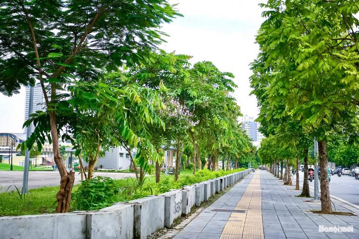 Mặt đường được trải nhựa, vỉa hè, cây xanh đô thị và hệ thống điện chiếu sáng được đầu tư đồng bộ.