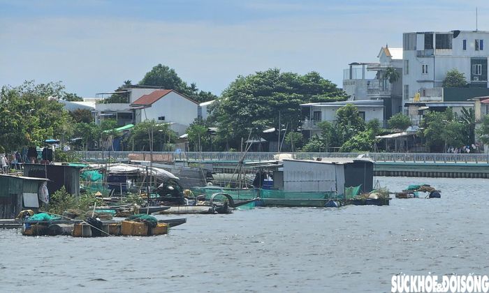 Từ tuyến đường đi bộ nhìn sang, nhiều lồng bè, nhà nổi nằm san sát trên mặt nước. Sự tương phản giữa không gian đường đi bộ được đầu tư khang trang với khu vực mặt sông nhếch nhác khiến cảnh quan hai bên bờ thiếu đồng bộ, ảnh hưởng đến mỹ quan đô thị. Ảnh: H.Dũng.