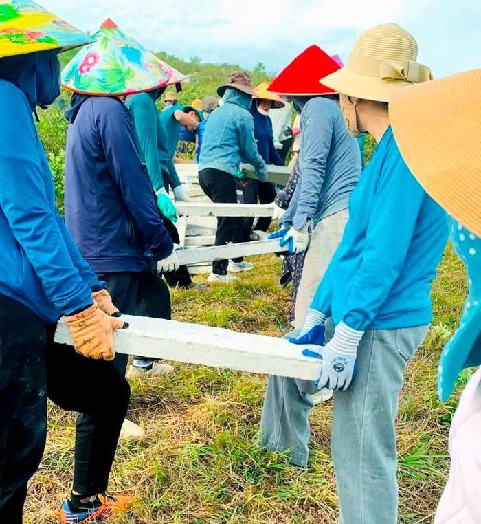 Hơn 1.000 người chung sức vận chuyển vật liệu tái tạo dòng chữ “BÁC HỒ SỐNG MÃI” trên núi Nhón. Ảnh: H.Huệ.