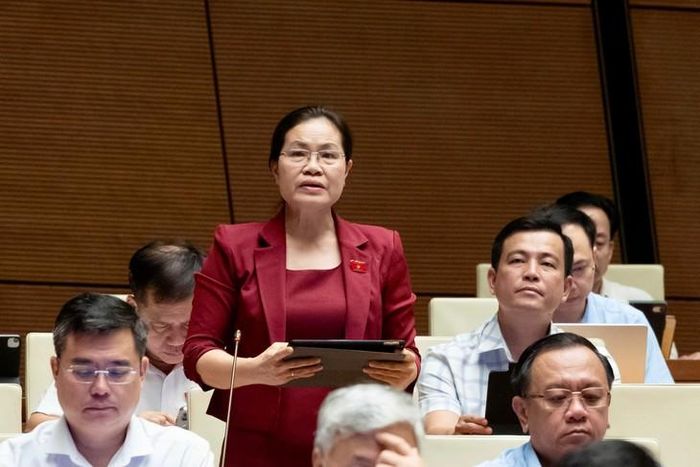 Đại biểu Nguyễn Thị Hồng Hạnh - Đoàn ĐBQH TP Hồ Chí Minh. Ảnh: Media Quốc hội