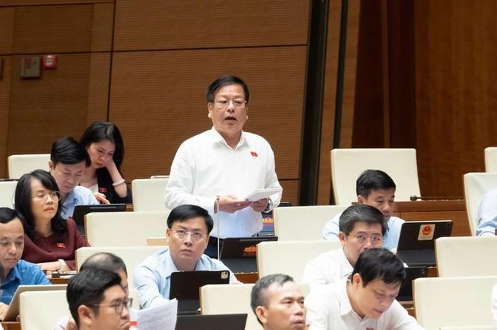 Đại biểu Nguyễn Trường Giang - Đoàn ĐBQH tỉnh Lâm Đồng. Ảnh: Media Quốc hội