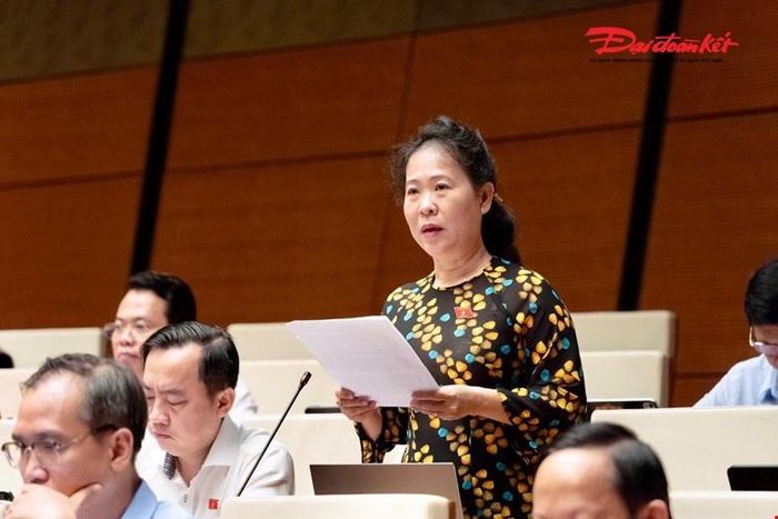 Đại biểu Tô Ái Vang phát biểu (Ảnh: Quang Vinh)
