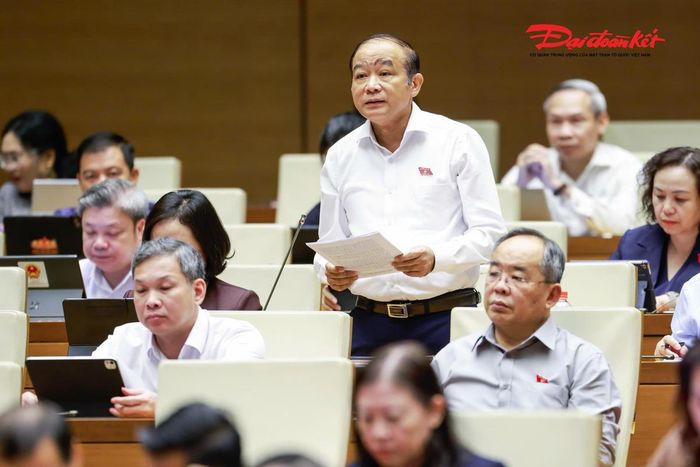 Đại biểu Quốc hội Lã Thanh Tân đoàn TP Hải Phòng phát biểu. Ảnh: Quang Vinh