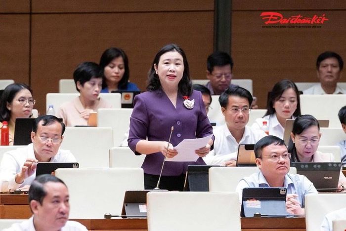 Đại biểu Lê Thị Song An phát biểu (Ảnh: Quang Vinh)