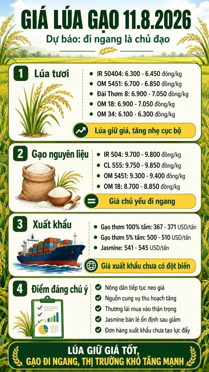 Các mức giá ngày 11.8.2026 trong phần dự báo là vùng tham khảo dựa trên mặt bằng giá ngày 10.8.2026. Giá thực tế có thể thay đổi tùy địa phương, chất lượng hàng và thời điểm giao dịch.