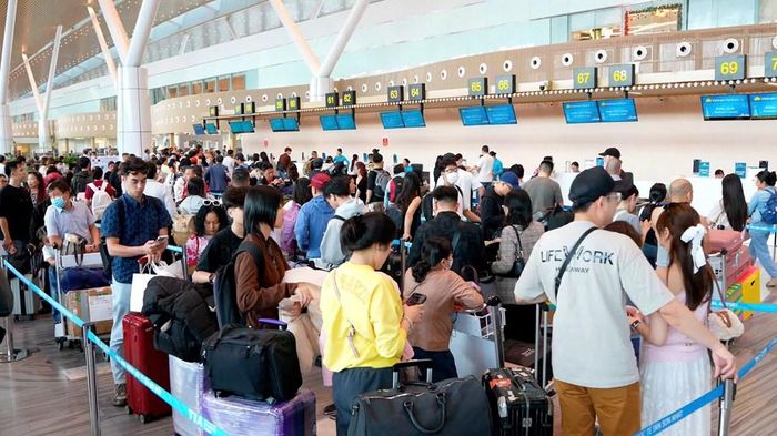 Thị trường hàng không nội địa vẫn duy trì đà tăng