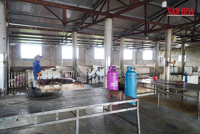 Hiện, nhiều cơ sở giết mổ tập trung tại Hà Tĩnh đang chung tình trạng xuống cấp, không đảm bảo điều kiện về vệ sinh, an toàn thực phẩm