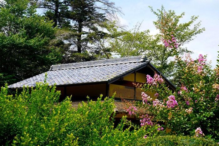Vườn Korakuen mang vẻ đẹp bốn mùa. Ảnh: HIẾU DUY
