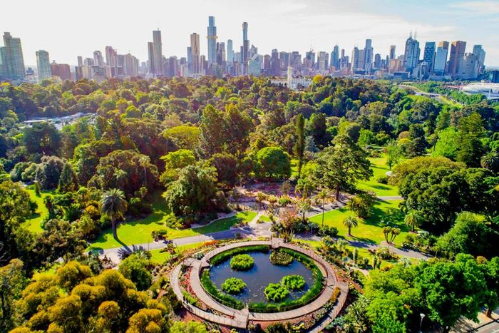 Melbourne đứng thứ 3 bảng xếp hạng, nổi bật là thành phố của nghệ thuật và những người trẻ sáng tạo