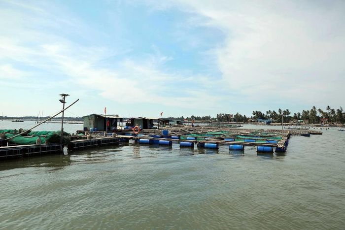 Xã đảo Tam Hải, thành phố Đà Nẵng. Ảnh: Đỗ Trưởng – TTXVN
